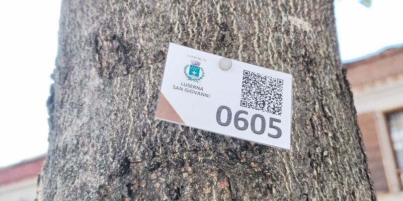 Monitoraggio asset tramite QR Code